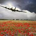 B-17 Poppy Pride