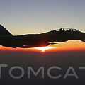 F-14 Tomcat