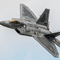 F-22 Raptor