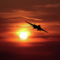 Tomcat Sunrise
