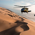Black Hawks